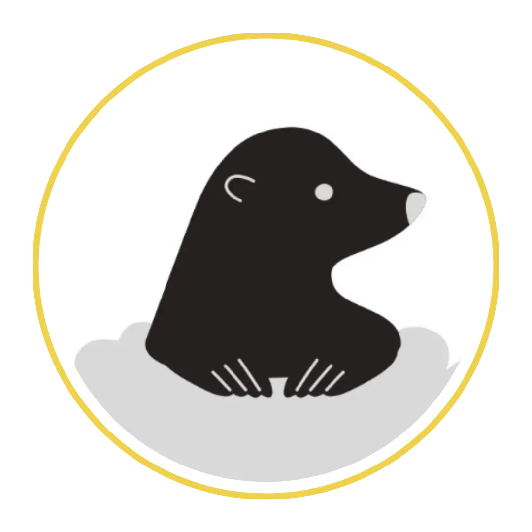 The Mortgage Mole Logo